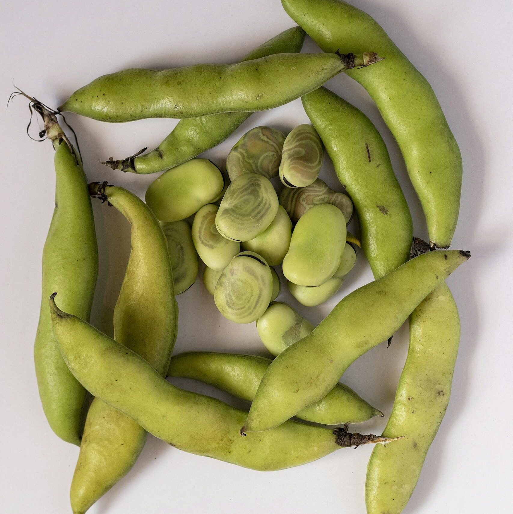 A high-angle view of fresh fava beans and pods creatively arranged on a white background.
