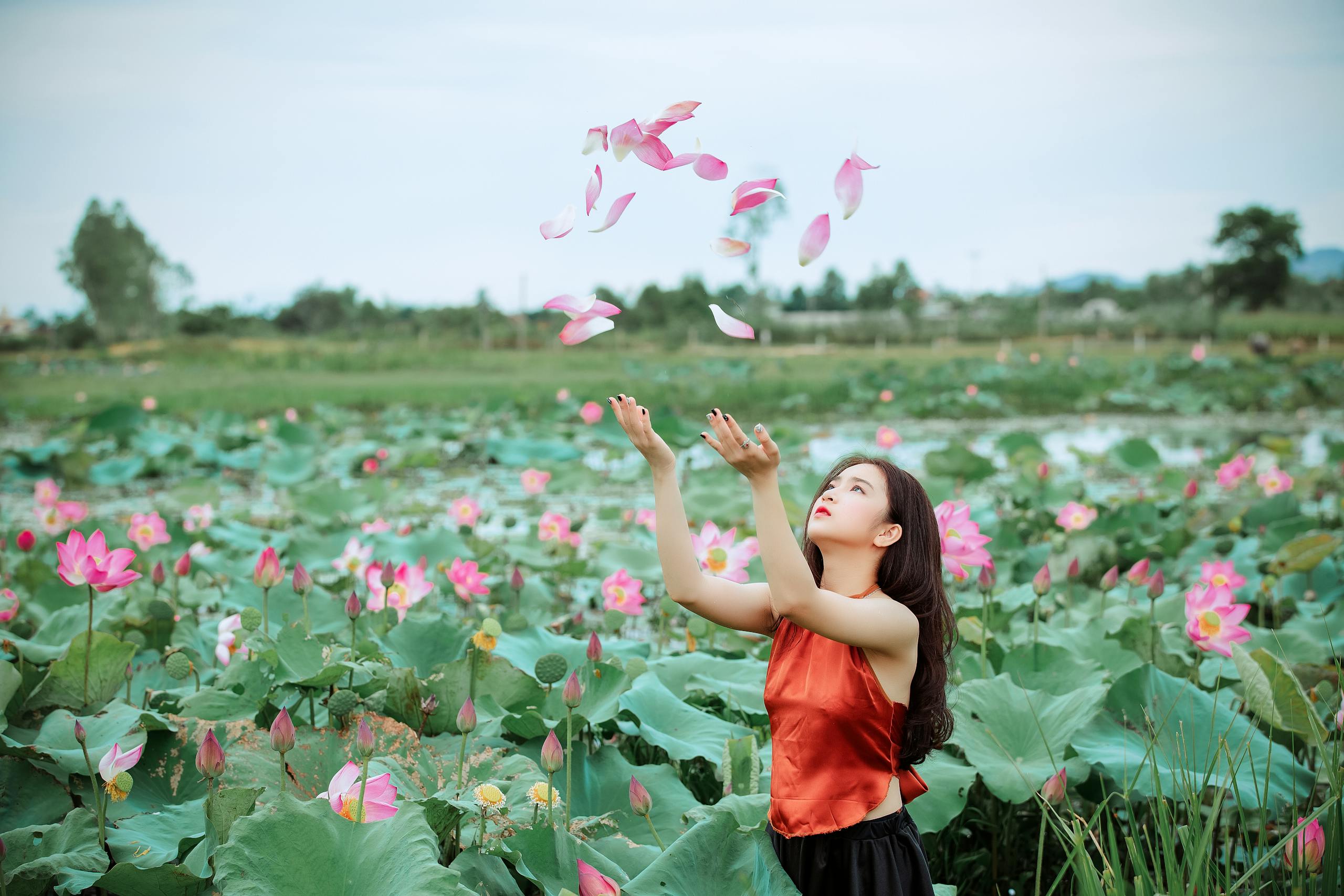 An adult woman in a vibrant lotus garden enjoying falling petals on a sunny day.